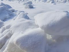 -绿野森林乐园冰雪季