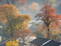-塔川景区