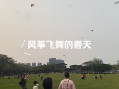 -顺峰山公园