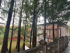 -三水森林公园