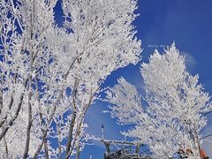 -中旅松花湖滑雪场
