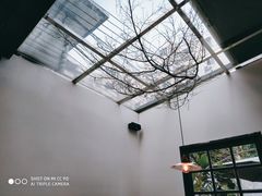 -素咫咖啡CLIFEROSE