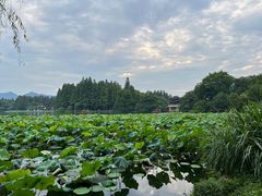 -印象西湖·最忆是杭州实景演出