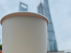 -陆家嘴中心绿地