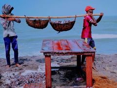 -尼甘布海鲜市场