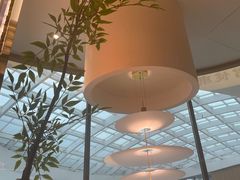 -好彩猪肚鸡(正弘城店)