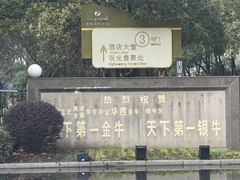 -华西村