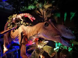 -恐龙探索乐园(磁器口店)