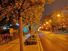 -LAMP BAR 水烟音乐酒吧