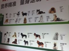 -创凡宠物医院·骨专科  猫科中心(西乡分院)