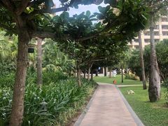 -三亚亚龙湾天域度假酒店