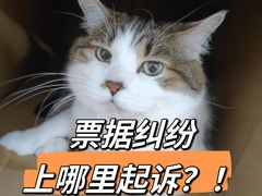 -华勤基信·至法律师团队