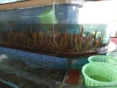 -台山第一家兴华黄鳝饭·黄鳝婆(开平店)