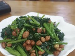 -小叶大馅饺子城