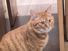 -南海渔村 (流花湖店)