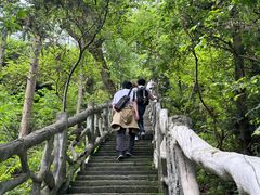 -长沙黑麋峰国家森林公园