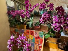 -花二家·生活馆(六运小区店)