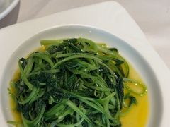 -松鹤楼(狮山永利广场店)