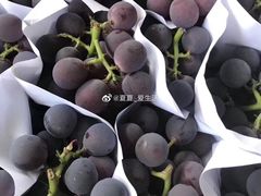-西郊国际农产品交易中心