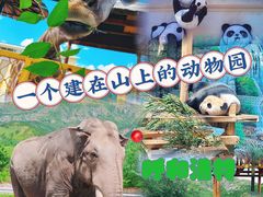 -大青山野生动物园
