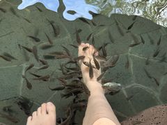 -扬州瘦西湖温泉