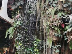 -正佳雨林生态植物园