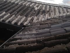 iphone_upload_pic-五花石之旅客栈