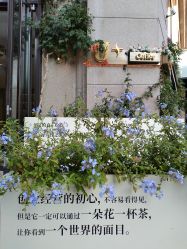 -Dr.U博士医疗美容医院