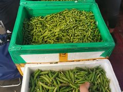 -岳各庄批发市场(西四环中路店)