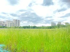 -小河无名面馆