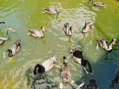 -长白岛森林公园