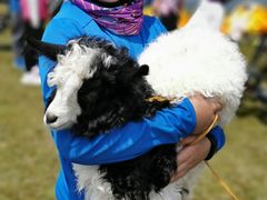 -青海湖国家重点风景名胜区