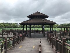 -自然谷恐龙园