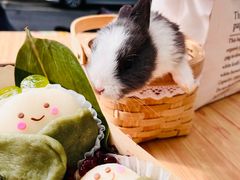 -大象厨房(重庆道店)