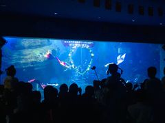 -多彩贵州城极地海洋世界