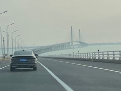 -东平国家森林公园