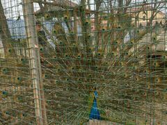 -意大利农场度假村