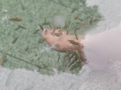 -天赐温泉