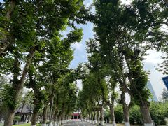-四川大学(望江校区)