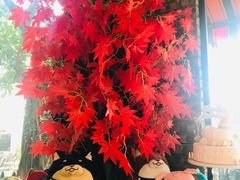 -柴犬高等学院·狗咖·柴犬售卖·宠物训练