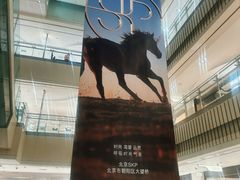 -北京SKP