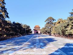 -北陵公园