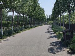 -西青郊野公园