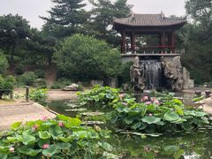 -国家植物园南园