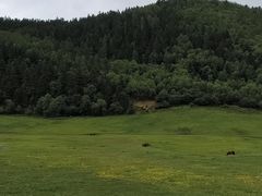 -碧塔海