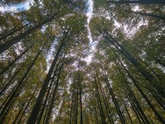 -山王坪喀斯特国家生态公园