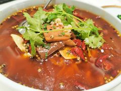 特色毛血旺-蝶园·装修中(BFC外滩金融中心店)