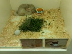 -龙猫仔乐园(惠福东路店)