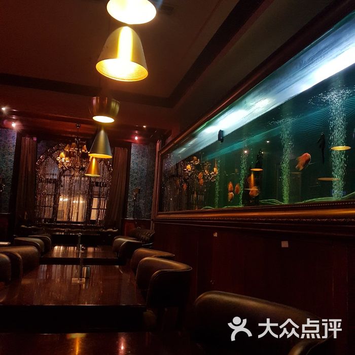 蓝枪鱼西餐酒吧图片-北京西式正餐-大众点评网