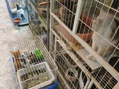 -宝鸡东道花鸟鱼虫市场(吉利花园商场店)